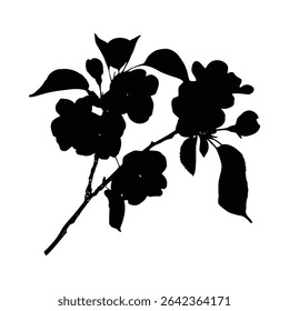A black silhouette of an apple blossom branch against a white background. The image features several blossoms, leaves, and buds, rendered in a simple, graphic style.