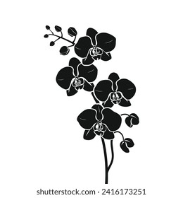 Black silhouette art of orchid flower vector illustration