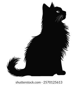 Black silhouette of a Asian Semi-longhair