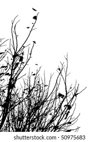 Black silhouette of autumn leafless branches of trees on white background
