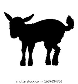 Black Silhouette Of Baby Goat. Vector Side View Illustration