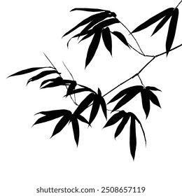 Black silhouette of bamboo leaves on white background isolated. Drawing vector illustrations. Botanical hand drawn element.