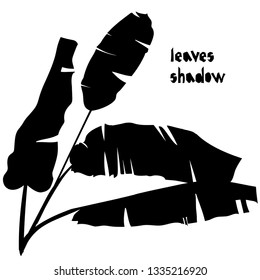 Black silhouette banana tropical leaves isolated on white background. Shadow pattern. Exotic design for vintage fabric textile, fashion, print, poster. Vector illustrations