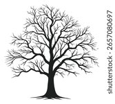 Black Silhouette Bare Deciduous Tree Winter Nature