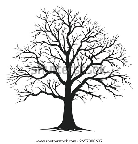 Black Silhouette Bare Deciduous Tree Winter Nature