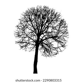 Black silhouette of a bare tree . Vector illustration