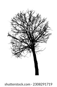 Black silhouette of a bare tree . Vector illustration