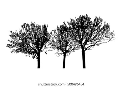 Black silhouette of a bare trees. Vector set of trees for your design.