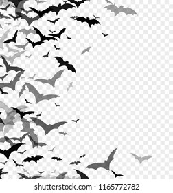 Black silhouette of bats isolated on transparent background. Halloween traditional design element. Vector illustration EPS10