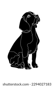 Black silhouette of the beagle dog on white background. Graphic drawing. Vector illustration.