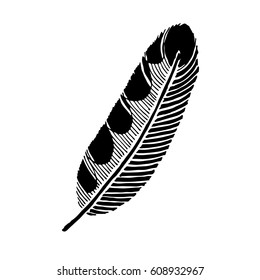 Black silhouette of a beautiful feather