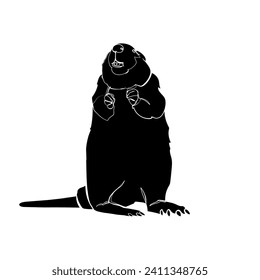 Black silhouette of beaver on white background. Graphic drawing. Vector illustration.