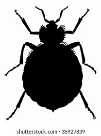 The black silhouette of a bedbug as illustration