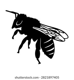 A black silhouette of a bee showcasing detailed wings, body segments, and antennae, emphasizing insect anatomy and pollination role.