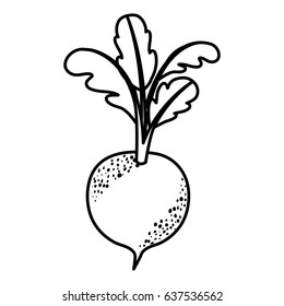 black silhouette of beet with stem and leaves vector illustration