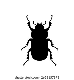 Black silhouette of a beetle insect. A simple flat vector illustration ideal for entomology, science diagrams