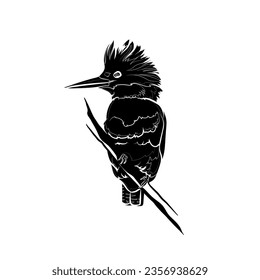 Black silhouette of the belted kingfisher (Megaceryle alcyon) on white background. Bird on branch. Graphic drawing. Vector illustration.