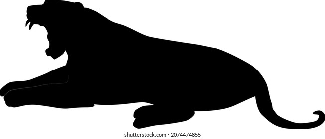 black silhouette of bengal tiger (Panthera tigris tigris) lying and roaring, vector illustration isolated on white background, realistic outline