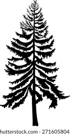 Silueta negra del árbol de abeto grande en estilo realista aislado en el fondo blanco