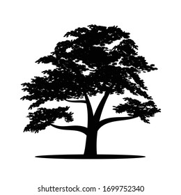 Black silhouette of a big tree on a white background. Vector image.