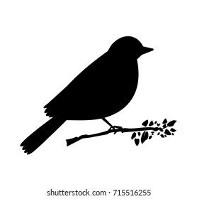 black silhouette of bird