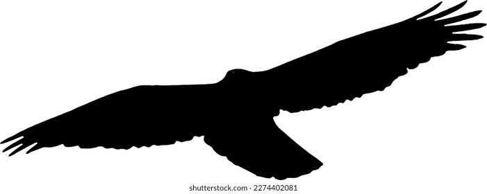 Black silhouette of a bird of prey in flight.