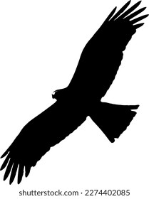 Black silhouette of a bird of prey in flight.