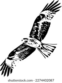 Black silhouette of a bird of prey in flight.