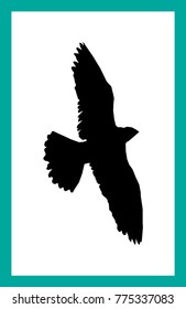 Black silhouette of bird of prey on white background