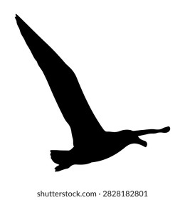 A black silhouette of a bird soaring through the sky, capturing the essence of freedom and nature in flight.