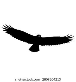 A black silhouette of a bird soaring with wings fully extended, showcasing elegance and freedom in flight against a plain background.