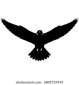 A black silhouette of a bird soaring with wings fully extended, capturing the essence of freedom and nature in flight.