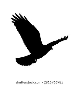 Black silhouette of a bird soaring with wings spread wide, captured against a plain white background, emphasizing flight and freedom themes.