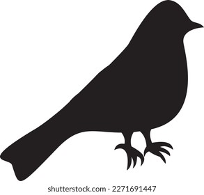 Silueta negra de un pájaro. Archivo vector para diseños.