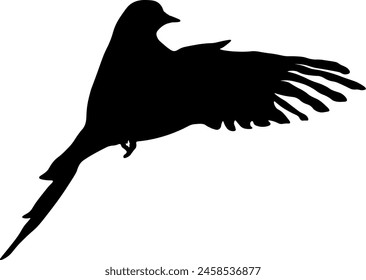 black silhouette of a bird without background
