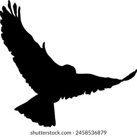 black silhouette of a bird without background