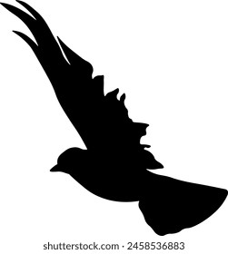 black silhouette of a bird without background