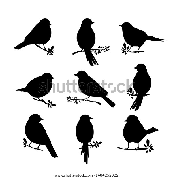 Black Silhouette Birds Big Set Stock Vector (Royalty Free) 1484252822 ...