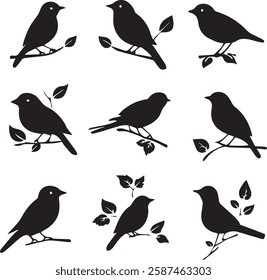 Black silhouette birds on the tree branch white background
