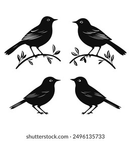 black silhouette birds set, Clipart on a white Background, Simple and Clean design, simplistic