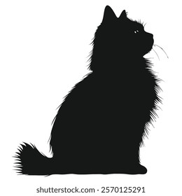 Black silhouette of a Birman