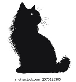 Black silhouette of a Birman