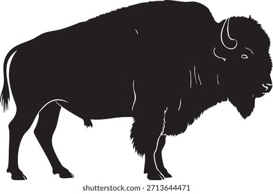 Schwarze Silhouette eines Bison, der mit dickem Fell und gekrümmten Hörnern steht
