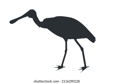 Black silhouette of a black-faced spoonbill bird (Platalea minor)