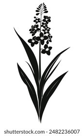 Black silhouette blooming hyacinth flowers with leaves on a white background, Perfect for Poster, Cards and Pattern