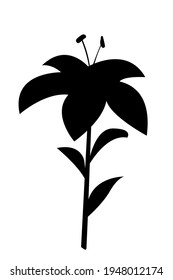Black silhouette of a blooming lily flower on a white background