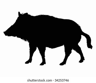 The black silhouette of a boar on white