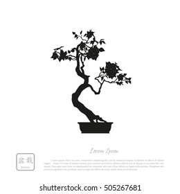 Black silhouette of a bonsai on a white background. Detailed image. Vector illustration