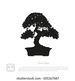 Black silhouette of a bonsai on a white background. Detailed image. Vector illustration