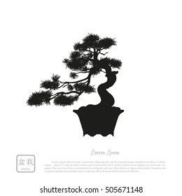 Black silhouette of a bonsai on a white background. Detailed image. Vector illustration